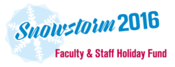 Snowstorm 2016 Faculty and Staff Holiday Fund