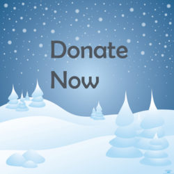 A SnowStorm with text saying Donate Now