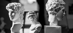 busts